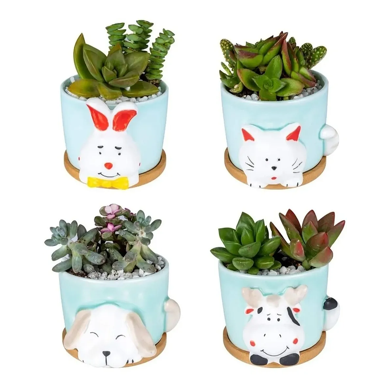 Juego Macetas x4 Cerámica Fina Diseño Animalitos Más plato Bambú 9