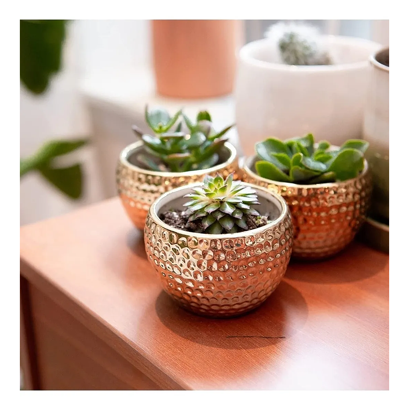 Maceta Cerámica Premium Dorada 7.62cm Diámetro x6.3 Alto Redonda 7