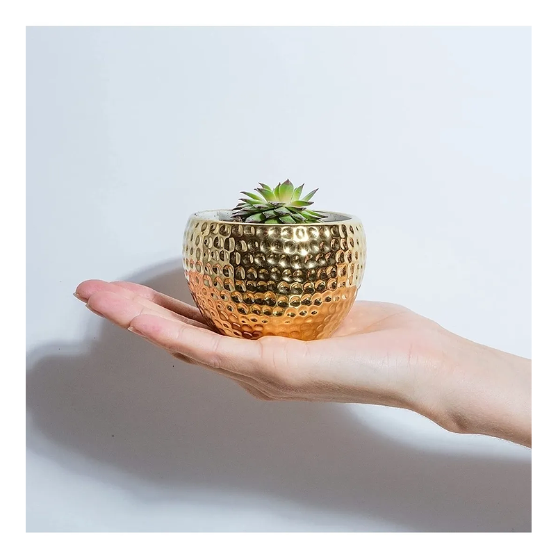 Maceta Cerámica Premium Dorada 7.62cm Diámetro x6.3 Alto Redonda 4