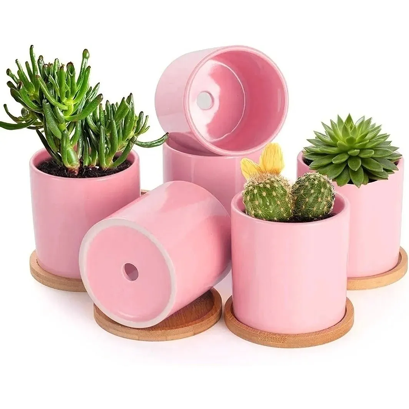 Maceta Cerámica Para Planta 8cm Diámetro x8cm Alto Más plato Bambú  1