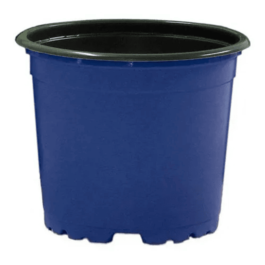 Matera plástica tipo vivero x25 unidades color 9cm diámetro x7cm alto 2