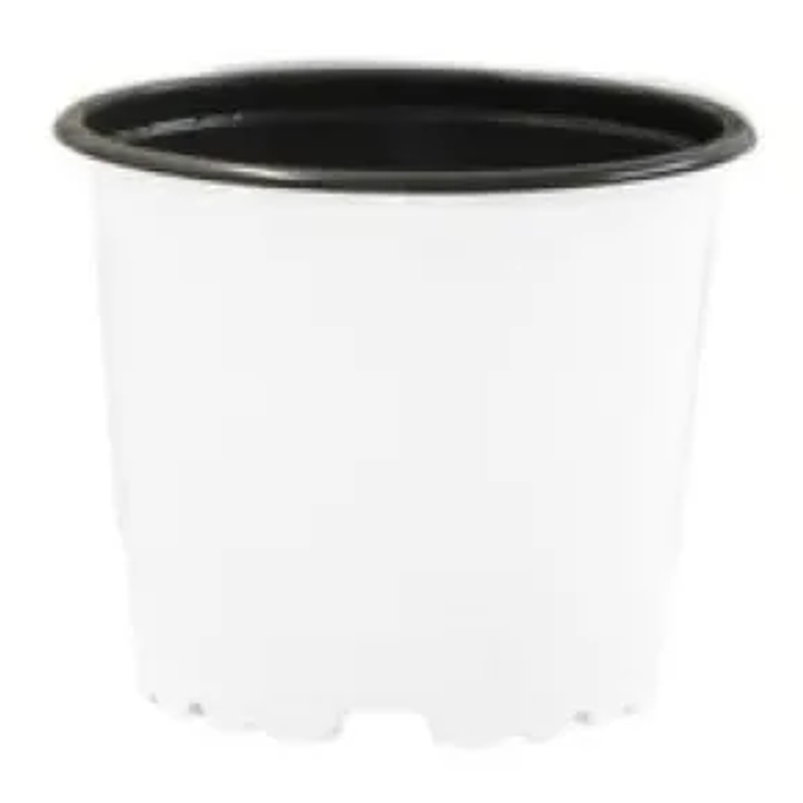Matera plástica tipo vivero x25 unidades color 9cm diámetro x7cm alto 4