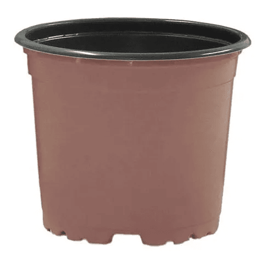 Matera plástica tipo vivero x25 unidades color 9cm diámetro x7cm alto 5