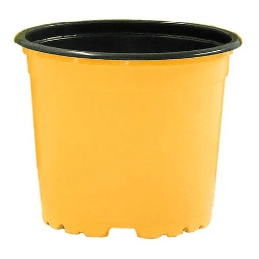 Matera plástica tipo vivero x25 unidades color 9cm diámetro x7cm alto 7