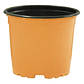 Matera plástica tipo vivero x25 unidades color 9cm diámetro x7cm alto - Miniatura 9