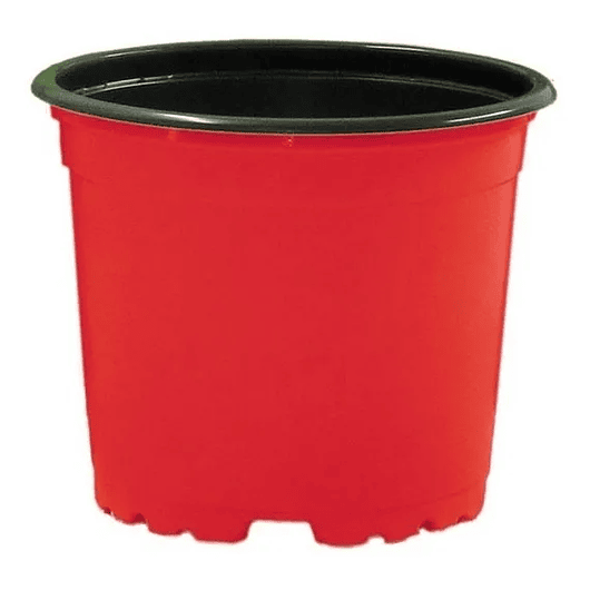 Matera plástica tipo vivero x25 unidades color 9cm diámetro x7cm alto 10