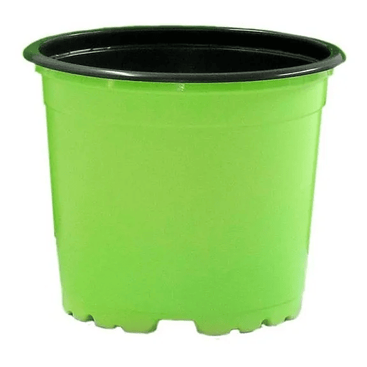 Matera plástica tipo vivero x25 unidades color 9cm diámetro x7cm alto 11