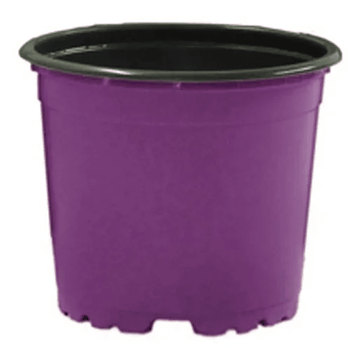 Matera plástica tipo vivero x25 unidades color 9cm diámetro x7cm alto 12