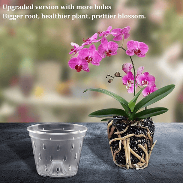 Maceta Siembra Orquídeas Plástica X10unid 14cm Diam X10 Alto