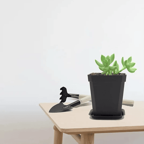 Maceta Plástica Firme Más Plato x10 Unidades 7.62cm Alto x7cm Diámetro