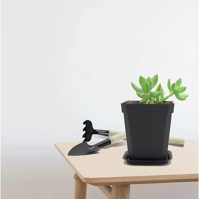 Maceta Plástica Firme Más Plato x10 Unidades 7.62cm Alto x7cm Diámetro 2