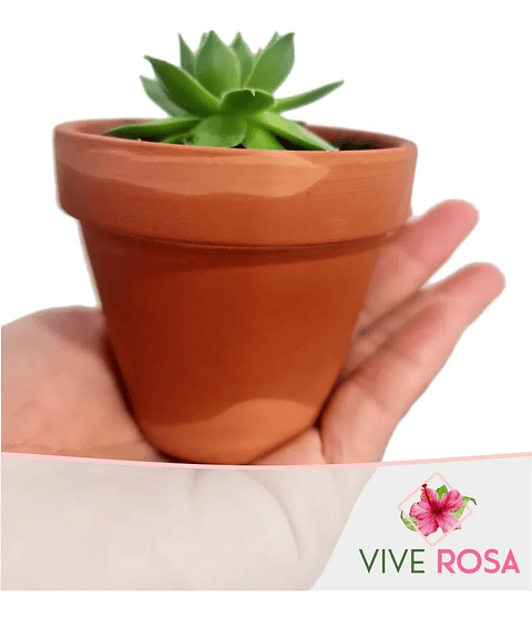 Matera De Plantas x5 Unidades Terracota En Arcilla 6.5cm x6cm