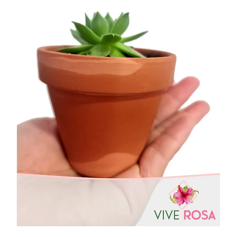Matera De Plantas x5 Unidades Terracota En Arcilla 6.5cm x6cm 1