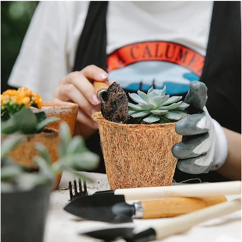 Macetas de Siembra en Fibra De Coco x5 Unidades 100% Natural Medidas: 6.6cm Diámetro x 5.6cm Alto 8