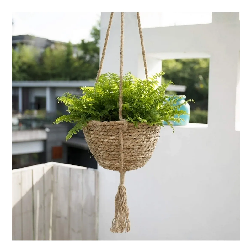 Maceta Plantas Colgar Pasto Marino Natural 23cm Diámetro x14cm Alto 2