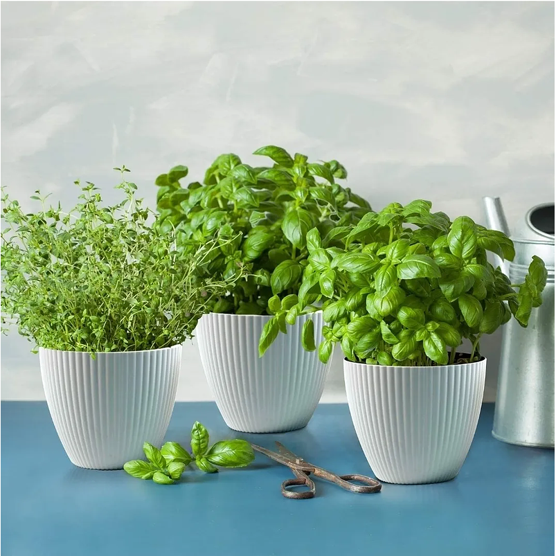 Maceta Plástica Plantas Diseño Ranurado 15.7cm Diámetro x13.7cm 4