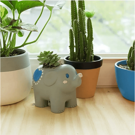 Kit Maceta Plantas Para Decoración Con Pintura Juego Niños 9