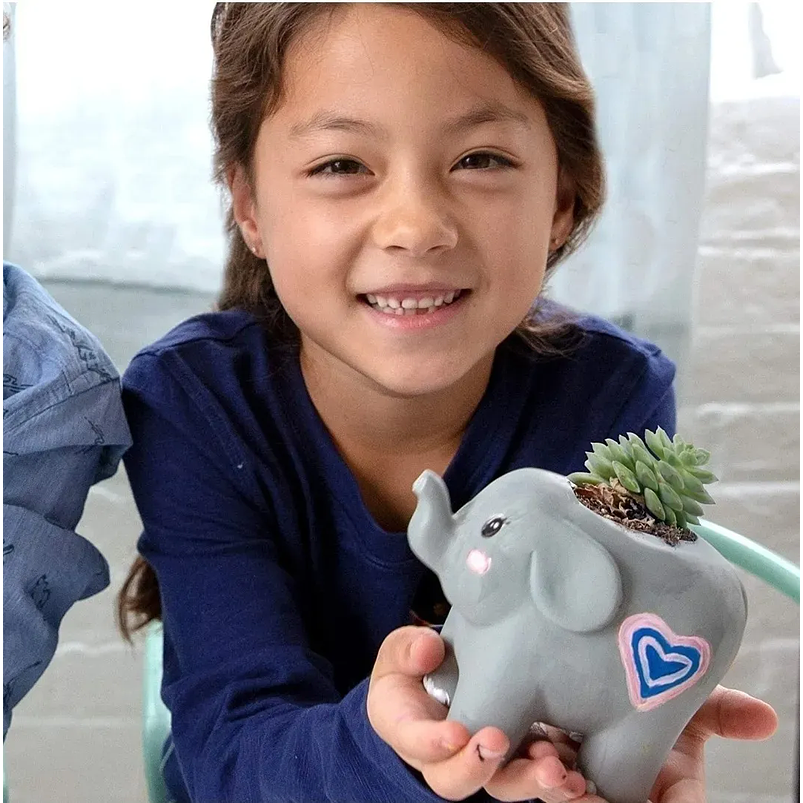 Kit Maceta Plantas Para Decoración Con Pintura Juego Niños 11