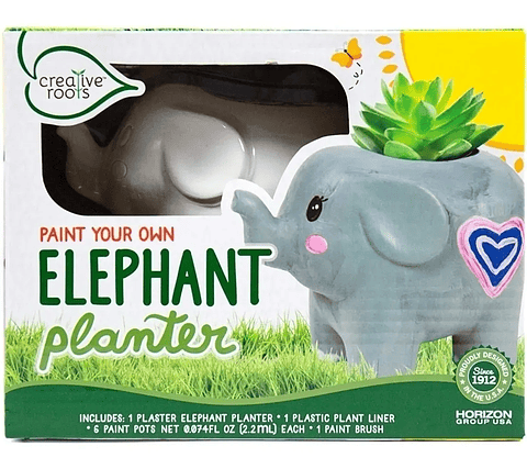 Kit Maceta Plantas Para Decoración Con Pintura Juego Niños