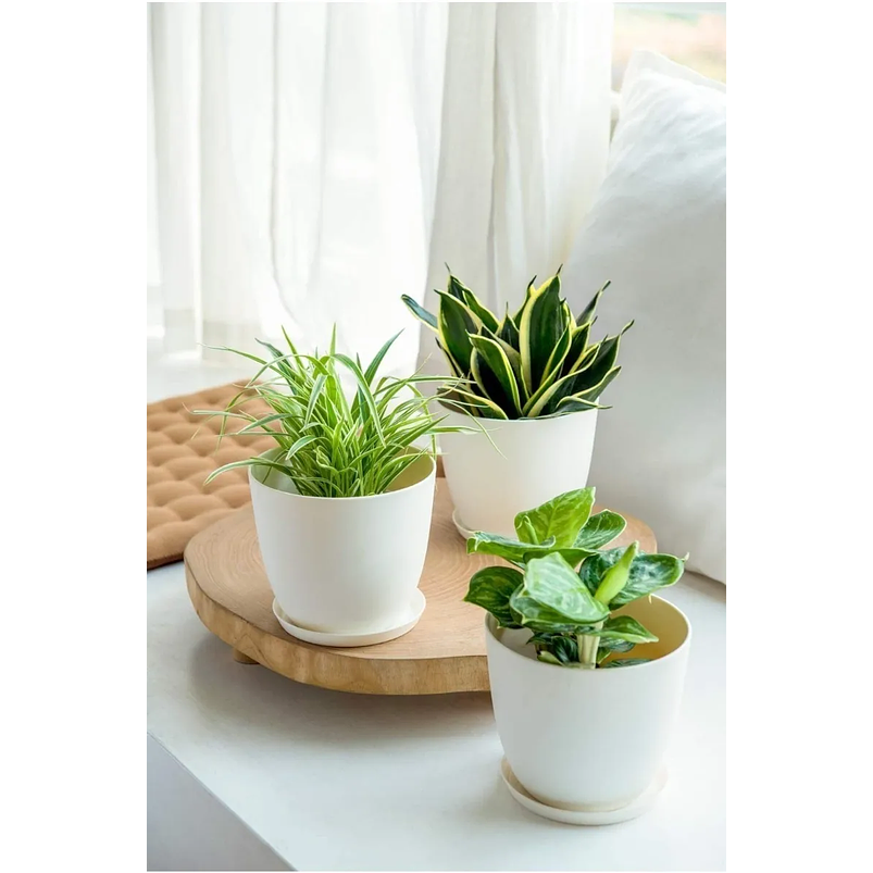 Juego Macetas Plásticas x2 Más macramé x2 Unidades Premium 5