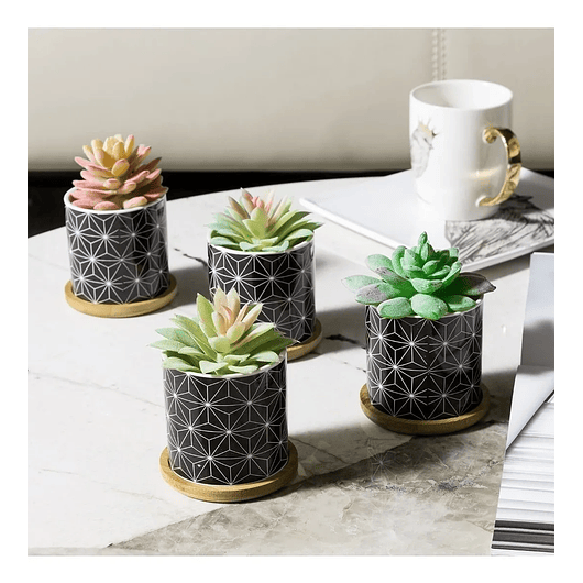 Juego Macetas Cerámica Fina x4 Unidades Más plato Bambú Suculentas 4