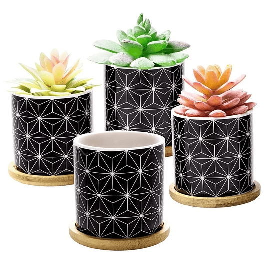 Juego Macetas Cerámica Fina x4 Unidades Más plato Bambú Suculentas 1
