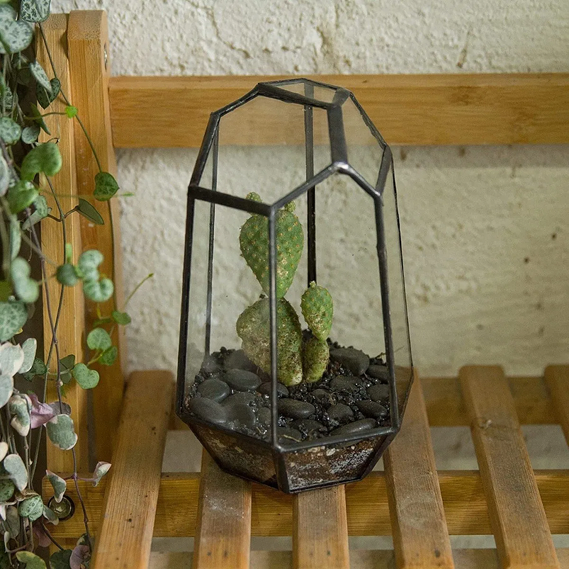 Maceta Terrario Plantas Vidrio Diseño Geométrico Moderno 3