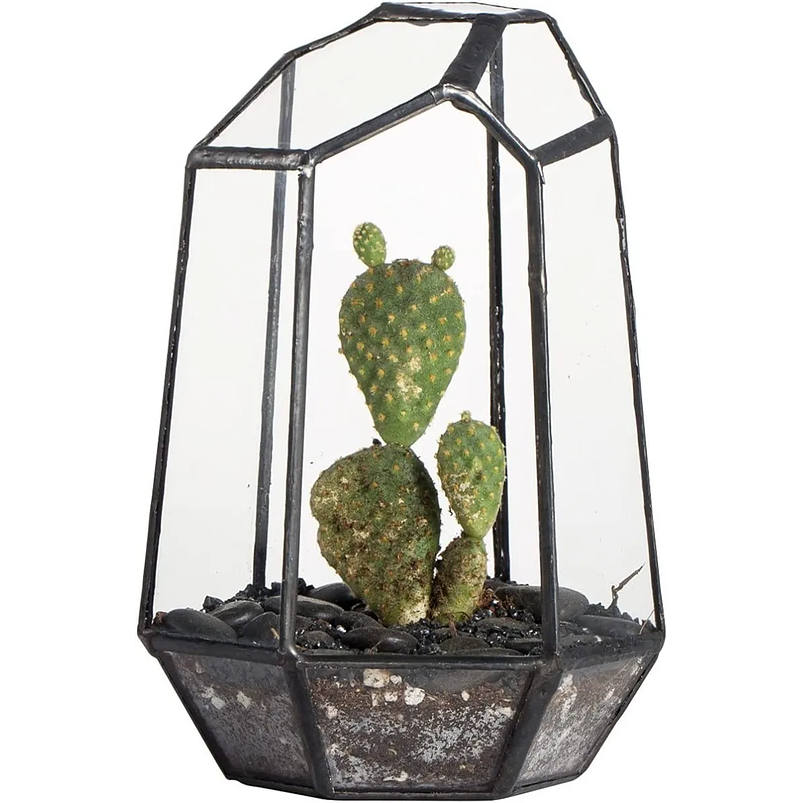 Maceta Terrario Plantas Vidrio Diseño Geométrico Moderno 1