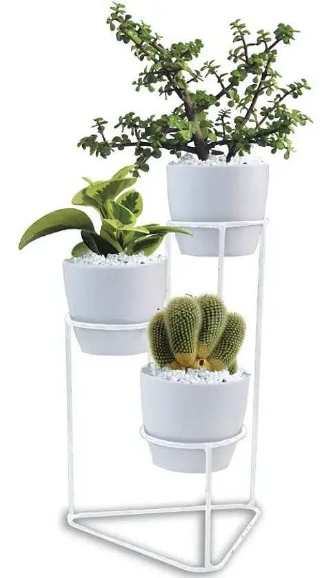 Soporte Matera Maceta x3 Puestos(9cm) Redondo 29,5 centímetros Alto