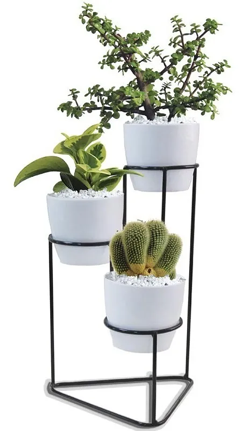 Soporte Matera Maceta x3 Puestos(9cm) Redondo 29,5 centímetros Alto