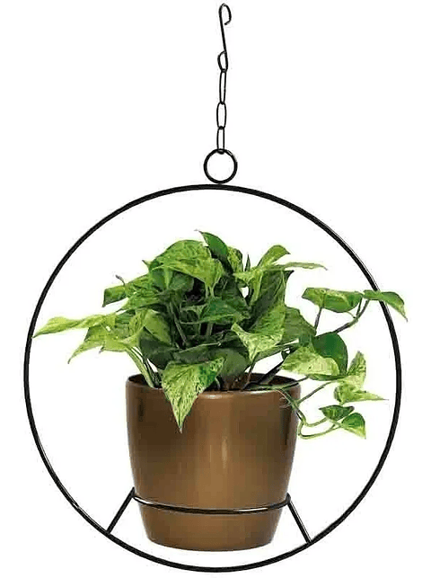 Soporte De Materas Maceta Redondo Colgante 36 centímetros Alto