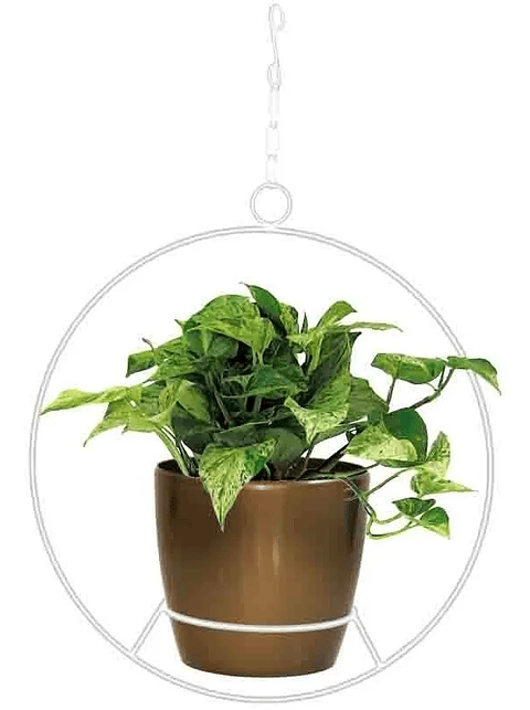 Soporte De Materas Maceta Redondo Colgante 36 centímetros Alto