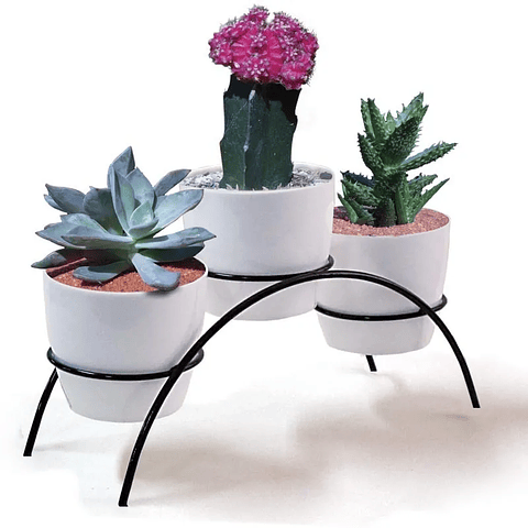 Soporte Matera Decorativo x3 Puestos Mesa 9cm Diámetro