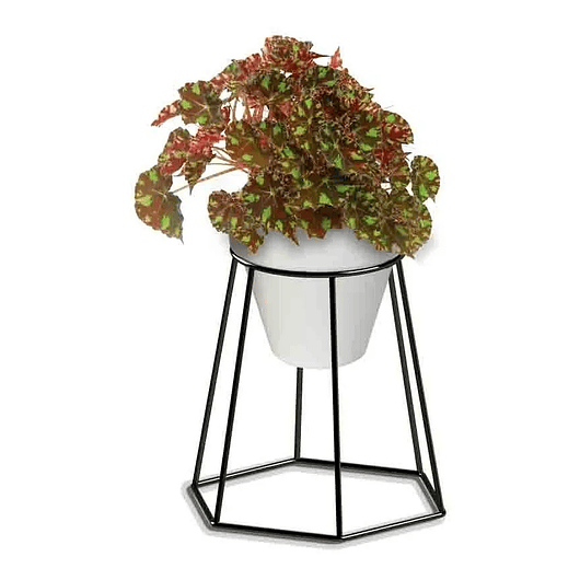 Soporte Maceta Decorativo Redondo 18,5cms Alto x13cm Diámetro  3