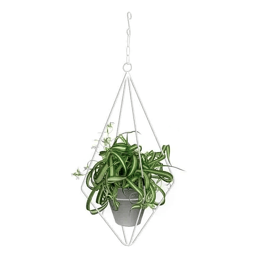 Soporte Matera Maceta Diseño Diamante De Colgar 63 centímetros Alto 2