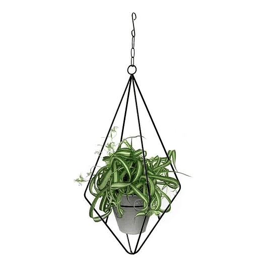 Soporte Matera Maceta Diseño Diamante De Colgar 63 centímetros Alto 1