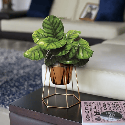 Soporte Más Maceta de Mesa Metalizado 18,5cm Alto x13 cm Diámetro  3