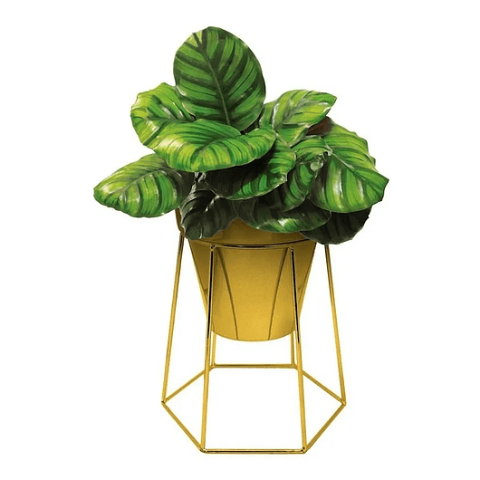 Soporte Más Maceta de Mesa Metalizado 18,5cm Alto x13 cm Diámetro  4