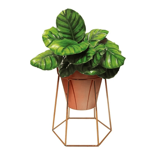 Soporte Más Maceta de Mesa Metalizado 18,5cm Alto x13 cm Diámetro  1