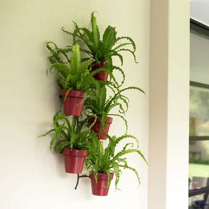 Soporte Macetas Pared x5 Espacio 13cm Diámetro 2