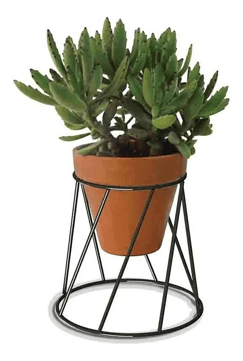 Soporte De Macetas Plantas 13cm Diámetro x16cm Alto Pisa