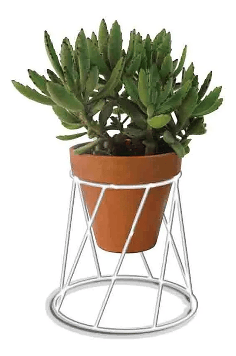 Soporte De Macetas Plantas 13cm Diámetro x16cm Alto Pisa