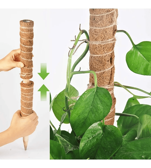Soporte Totem En Fibra De Coco Plantas Trepadoras x2 Unidades