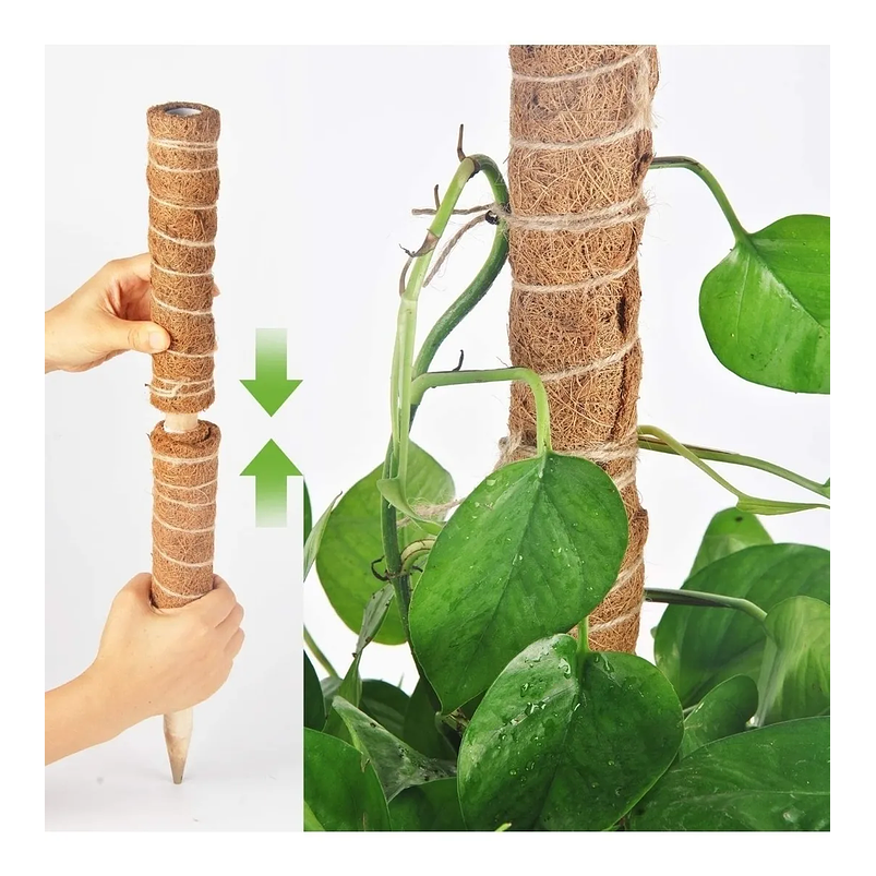 Soporte Totem En Fibra De Coco Plantas Trepadoras x2 Unidades 2