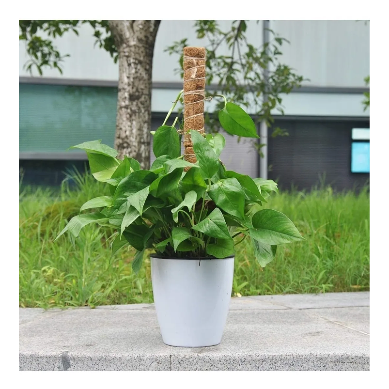 Soporte Totem En Fibra De Coco Plantas Trepadoras x2 Unidades 5