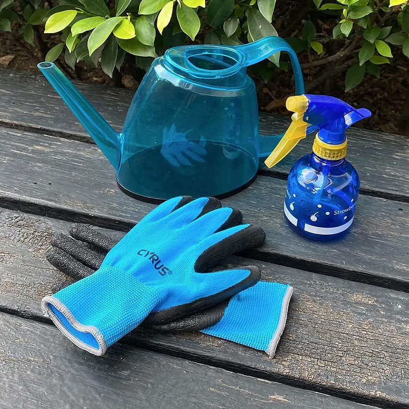 Regadera Resina Poliestireno x1.4l Translúcido Super Liviana Azul 2