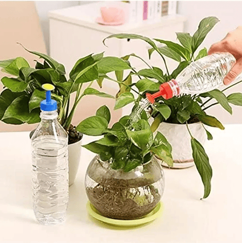 Tapa de Botella Tipo Regadera de Plantas