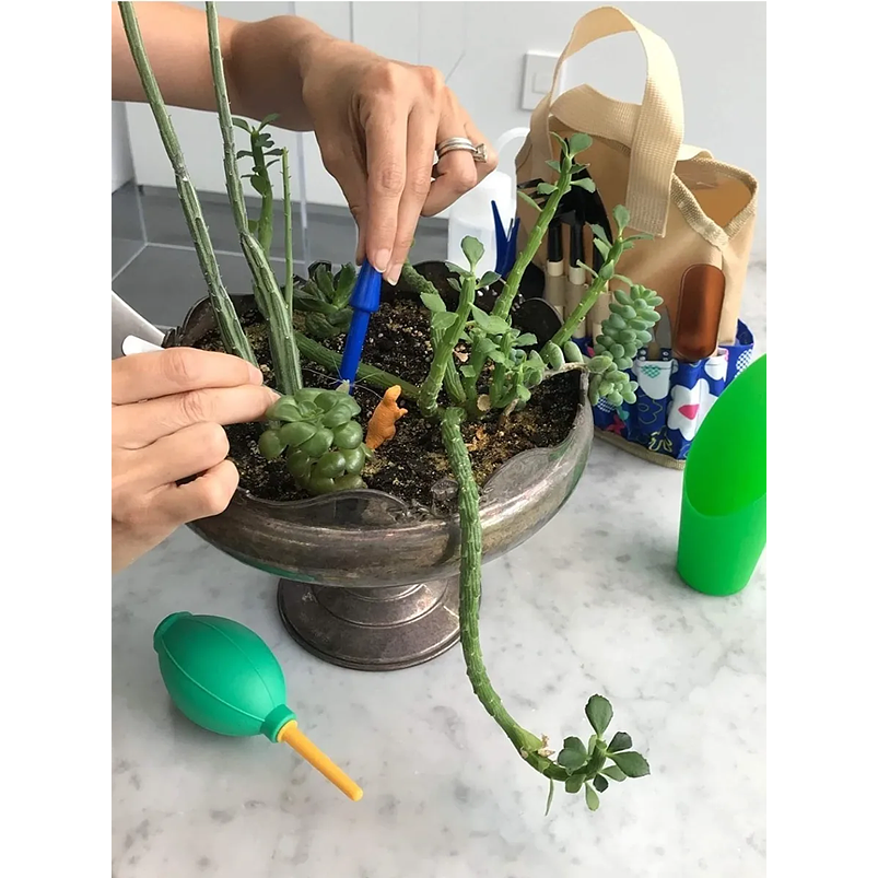 Kit Herramientas Plantas Cactus Suculenta x13 Piezas más Bolso 4