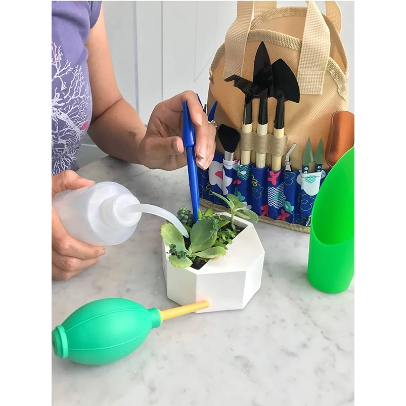 Kit Herramientas Plantas Cactus Suculenta x13 Piezas más Bolso 5