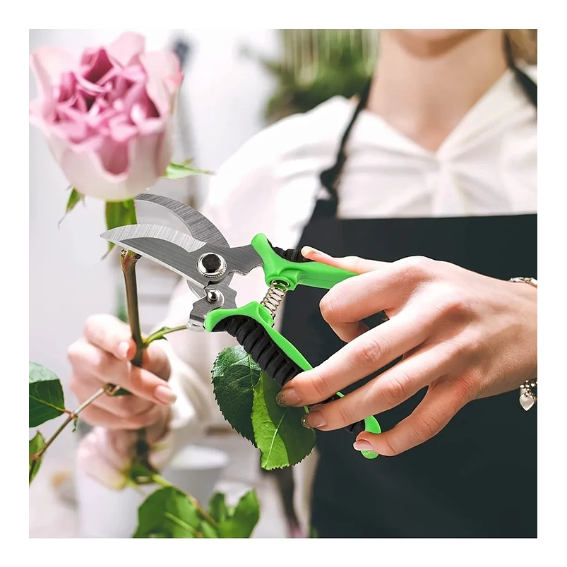 Kit Herramientas Bonsái Chic Suculentas x15 Piezas Más Estuche 3